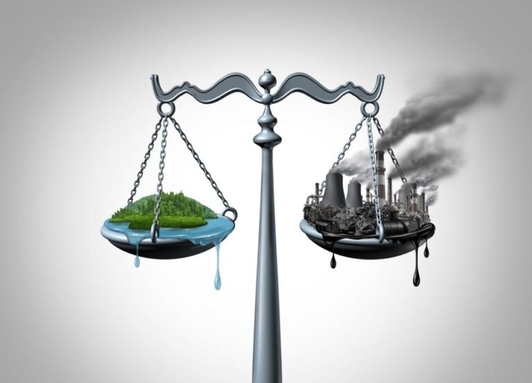 RISING AMOUNT OF CLIMATE CHANGE LAWSUITS: LEGAL TRENDS AND CHALLENGES